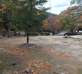昭和の森 一本松公園 風景写真